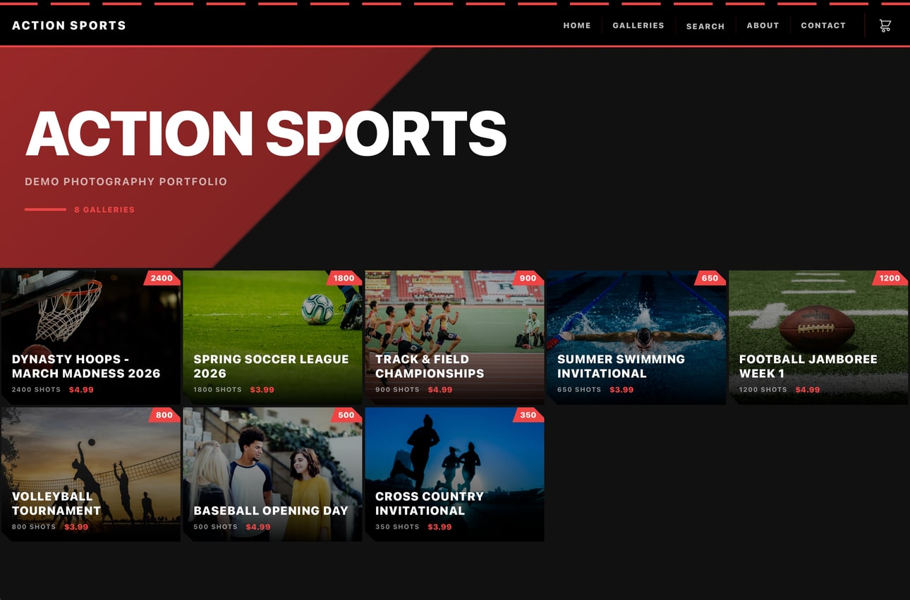 Action Sports theme preview